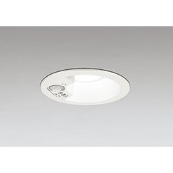 エクステリアライト/昼白色/φ100/要電気工事 OD261837R