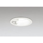 エクステリアライト/昼白色/φ100/要電気工事 OD261837R