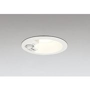 エクステリアライト/電球色/φ100/要電気工事 OD261838R