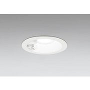 エクステリアライト/昼白色/φ125/要電気工事 OD261843R
