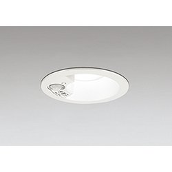 エクステリアライト/昼白色/φ100/要電気工事 OD261849R