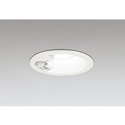 エクステリアライト/昼白色/φ100/要電気工事 OD261849R