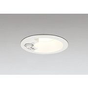 エクステリアライト/電球色/φ100/要電気工事 OD261850R