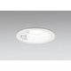 エクステリアライト/昼白色/φ125/要電気工事 OD261855R