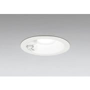 エクステリアライト/昼白色/φ125/要電気工事 OD261855R