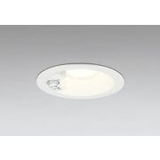 エクステリアライト/電球色/φ125/要電気工事 OD261856R