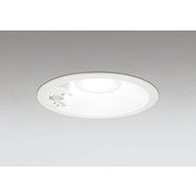 エクステリアライト/昼白色/φ150/要電気工事 OD361205R