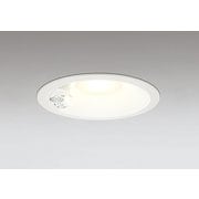 エクステリアライト/電球色/φ150/要電気工事 OD361206R