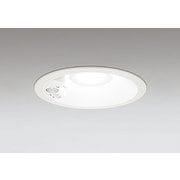 エクステリアライト/昼白色/φ150/要電気工事 OD361211R