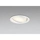 ダウンライト/温白色/φ100/要電気工事 OD361557WDR