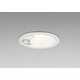 エクステリアライト/温白色/φ100/要電気工事 OD361583R
