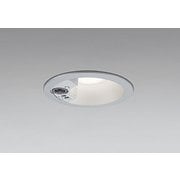 エクステリアライト/温白色/φ100/要電気工事 OD361594R