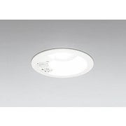 エクステリアライト/昼白色/φ100/要電気工事 OD361660R