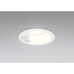 エクステリアライト/温白色/φ100/要電気工事 OD361661R