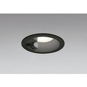 エクステリアライト/温白色/φ100/要電気工事 OD361664R