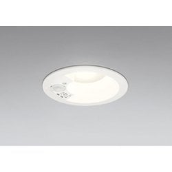エクステリアライト/温白色/φ100/要電気工事 OD361667R