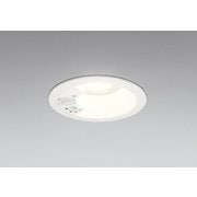 エクステリアライト/温白色/φ100/要電気工事 OD361667R