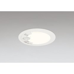 エクステリアライト/電球色/φ75/要電気工事 OD361702R