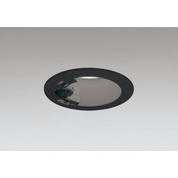 エクステリアライト/昼白色/φ75/要電気工事 OD361703R