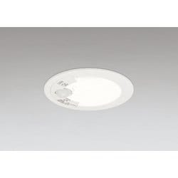 エクステリアライト/温白色/φ75/要電気工事 OD361707R