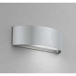 エクステリアライト/昼白色/要電気工事 OG041482NCR