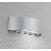 エクステリアライト/昼白色/要電気工事 OG041482NCR