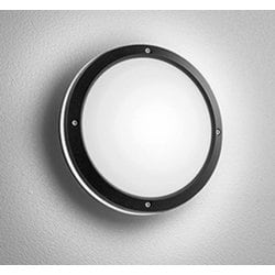 エクステリアライト/昼白色/要電気工事 OG041631NCR