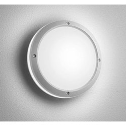 エクステリアライト/昼白色/要電気工事 OG041633NCR
