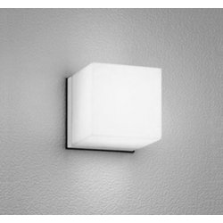 エクステリアライト/昼白色/要電気工事 OG041642NR