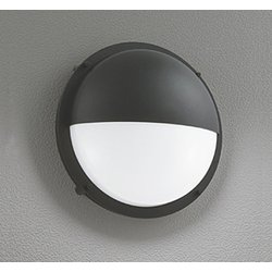 エクステリアライト/電球色/要電気工事 OG254180LR