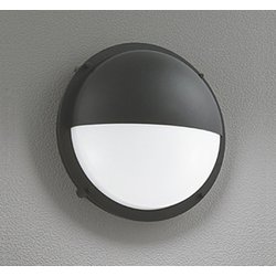エクステリアライト/昼白色/要電気工事 OG254180NR