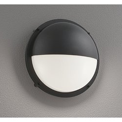 エクステリアライト/温白色/要電気工事 OG254180WR