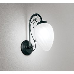 エクステリアライト/昼白色/要電気工事 OG254309NCR