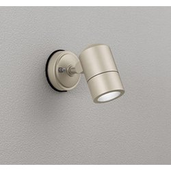 エクステリアライト/昼白色/要電気工事 OG254513NR