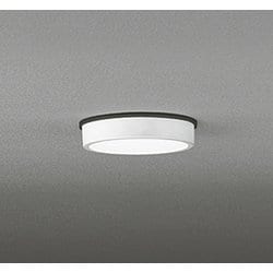 エクステリアライト/昼白色/要電気工事 OG254515R