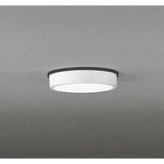 エクステリアライト/昼白色/要電気工事 OG254515R