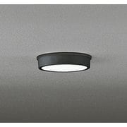エクステリアライト/昼白色/要電気工事 OG254517R