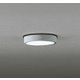 エクステリアライト/昼白色/要電気工事 OG254519R