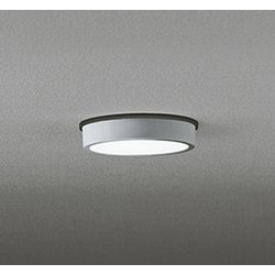 エクステリアライト/昼白色/要電気工事 OG254519R