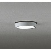 エクステリアライト/昼白色/要電気工事 OG254519R