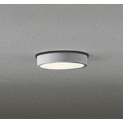 エクステリアライト/電球色/要電気工事 OG254520R