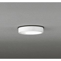 エクステリアライト/昼白色/要電気工事 OG254521R