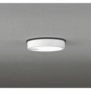 エクステリアライト/昼白色/要電気工事 OG254521R