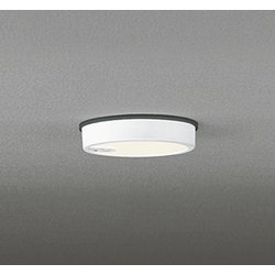 エクステリアライト/電球色/要電気工事 OG254522R
