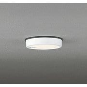 エクステリアライト/電球色/要電気工事 OG254522R