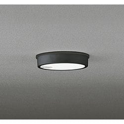 エクステリアライト/昼白色/要電気工事 OG254523R