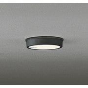 エクステリアライト/電球色/要電気工事 OG254524R