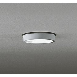 エクステリアライト/昼白色/要電気工事 OG254525R