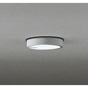 エクステリアライト/昼白色/要電気工事 OG254525R