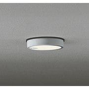 エクステリアライト/電球色/要電気工事 OG254526R